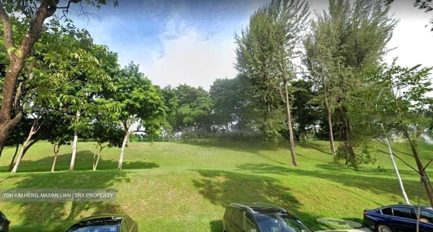 Jurong Park (D21), Detached #457157521